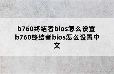 b760终结者bios怎么设置 b760终结者bios怎么设置中文